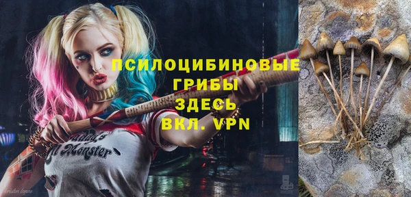 кокс Арсеньев