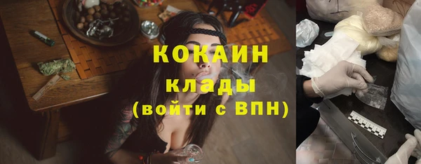 кокс Арсеньев
